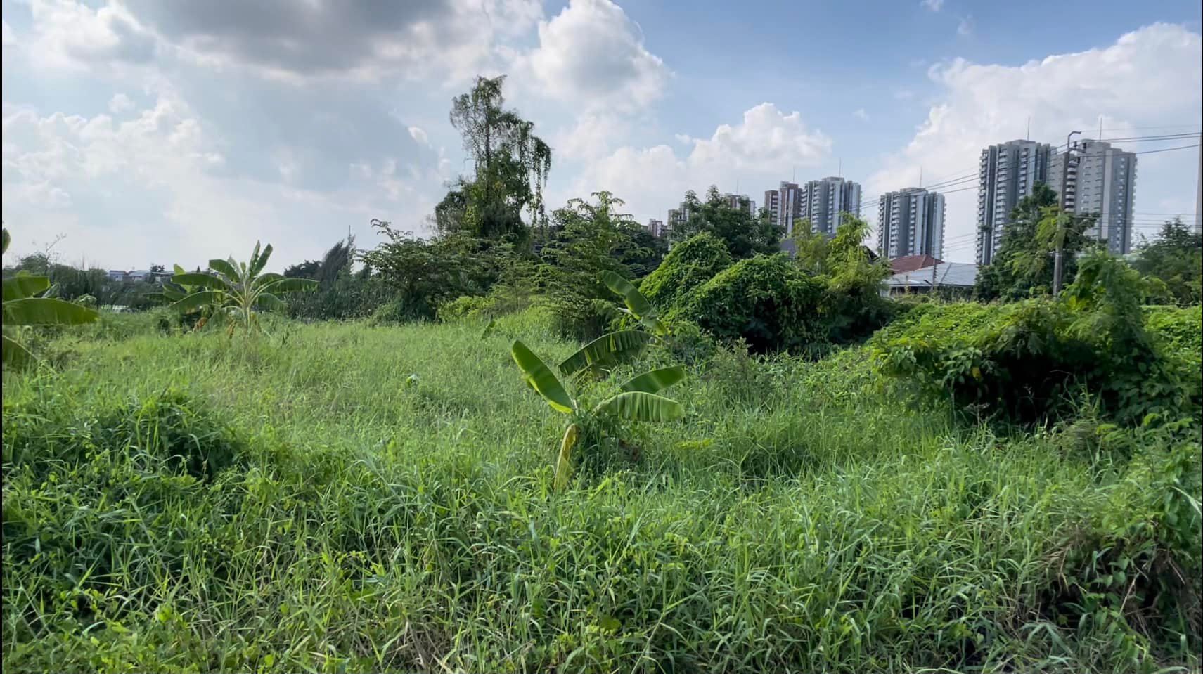 ‼️ขายที่ดินริมน้ำ ติดบึงเมืองทอง แจ้งวัฒนะ 209 ตรว.